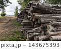 Large stacks of cut timber and logs lie beside a dirt path near a lake 143675393