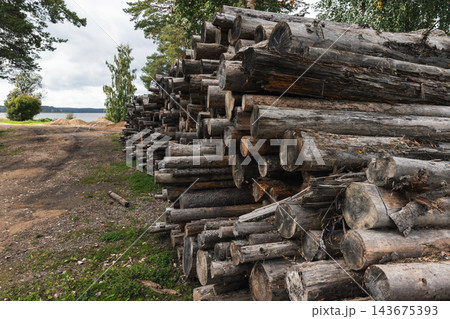 Large stacks of cut timber and logs lie beside a dirt path near a lake 143675393