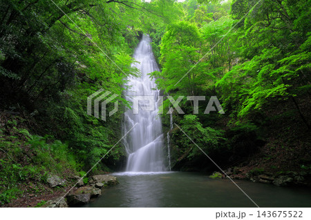 琴滝（京都府船井郡京丹波町） 143675522