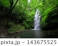 琴滝（京都府船井郡京丹波町） 143675525