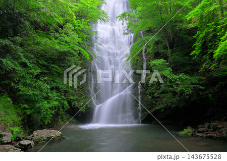 琴滝(京都府船井郡京丹波町) 琴滝(京都府船井郡京丹波町) 143675528