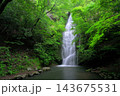琴滝（京都府船井郡京丹波町） 143675531