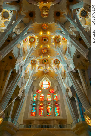 Branching columns and golden star vault above orange stained glass windows in Sagrada Familia Branching columns and golden star vault above orange stained glass windows in Sagrada Familia 143676134