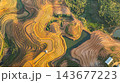 Aerial view of A Water, Rice, and Life at Tad Ma Waterfall, Laos Aerial view of A Water, Rice, and Life at Tad Ma Waterfall, Laos 143677223