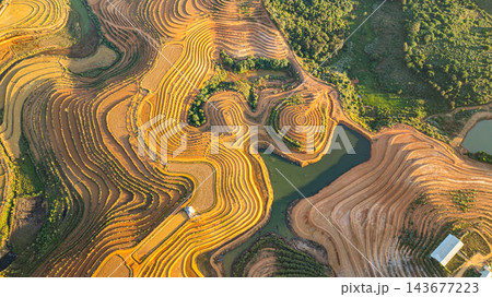 Aerial view of A Water, Rice, and Life at Tad Ma Waterfall, Laos 143677223