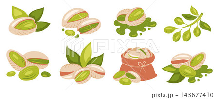 Hand-Drawn Flat Style Colored Pistachio Nuts with Leaves Vector Illustration Set for Food Packaging, Branding and Print Design Hand-Drawn Flat Style Colored Pistachio Nuts with Leaves Vector Illustration Set for Food Packaging, Branding and Print Design 143677410