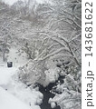雪が厚く積もった木々の下を流れる冬の小川 143681622