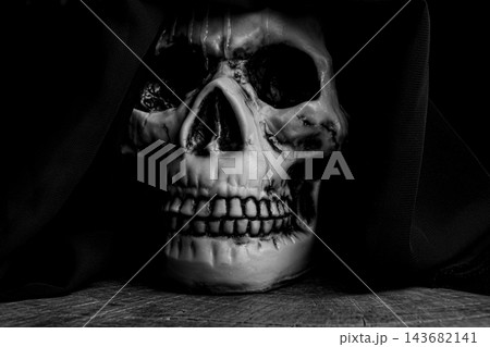 Human skull for Halloween, an image of a human skull in a macabre setting with fabric draped over the head to represent death, selective focus. 143682141