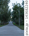 Empty park alley with street lamp at dusk, Kyiv 143682240