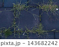 Grass frame around rubber tile, copy space background 143682242
