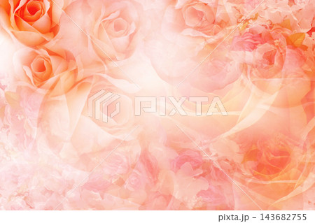 abstract orange roses flower bouquet on blur gradient orange and pink background, object, decor, card, template, copy space 143682755