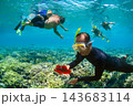 Maroon clownfish (Amphiprion biaculeatus) snorkeling with bright fishes on coral reef in Indonesia. Tropical underwater wildlife, summer travel, marine biodiversity, Malay archipelago ecosystem. 143683114
