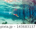 Happy family - active girl in snorkeling mask dive underwater, see tropical fishes in coral reef sea pool. Travel adventure, swimming activity and watersports on summer beach vacation with kids. 143683137