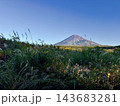 草むらのススキと富士山 143683281