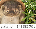 やさしい表情の大きなたぬきの置物 クローズアップ 143683701
