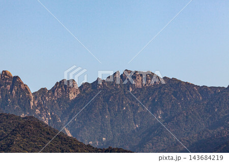 屋久島　永田岳の雄姿　世界自然遺産(春 143684219