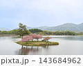 滋賀県日野町 春の日野川ダムの中の浮島の八重桜 滋賀県日野町 春の日野川ダムの中の浮島の八重桜 143684962