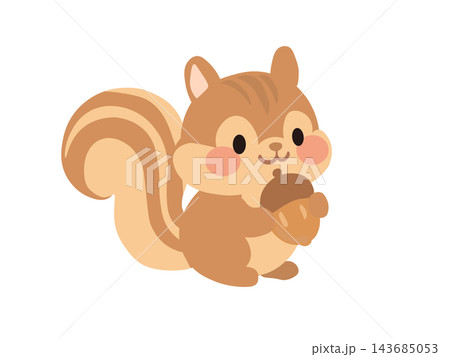 かわいいリスのイラスト 143685053