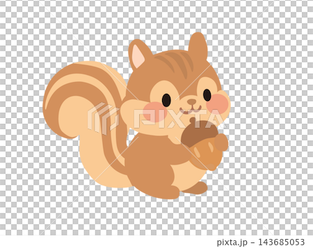 かわいいリスのイラスト 143685053