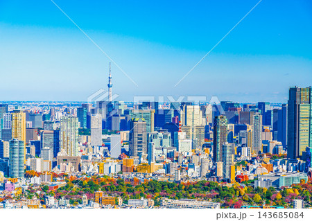 渋谷から見たスカイツリー方向の東京風景 渋谷から見たスカイツリー方向の東京風景 143685084