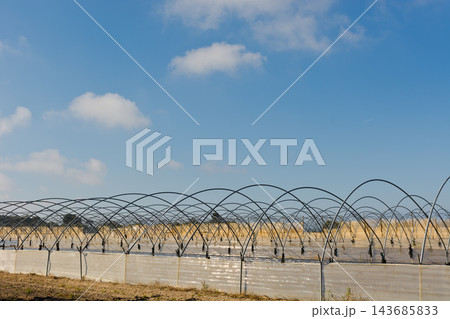 Greenhouse Hoop House Frames in Agricultural Field Under Blue Sky Greenhouse Hoop House Frames in Agricultural Field Under Blue Sky 143685833