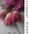 英字新聞とピンクの花々 143686115