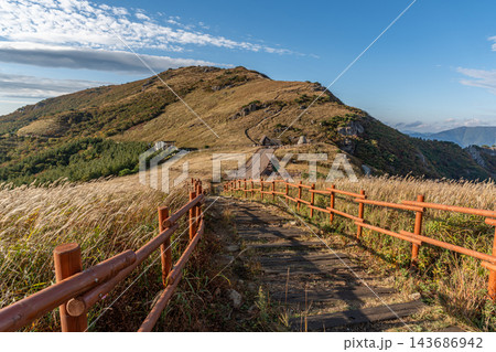 Ganwoljae Silver Grass Trail in Autumn 143686942