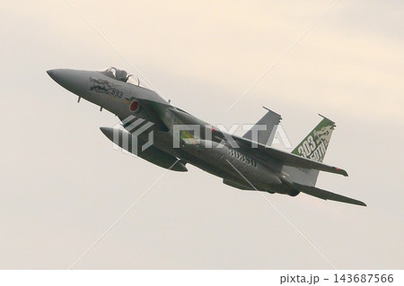 F-15戦闘機(アグレッサー部隊) F-15戦闘機(アグレッサー部隊) 143687566