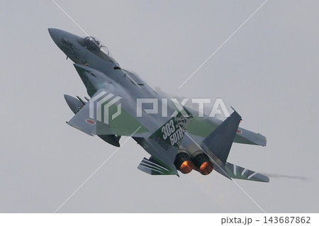 F-15戦闘機（アグレッサー部隊） 143687862