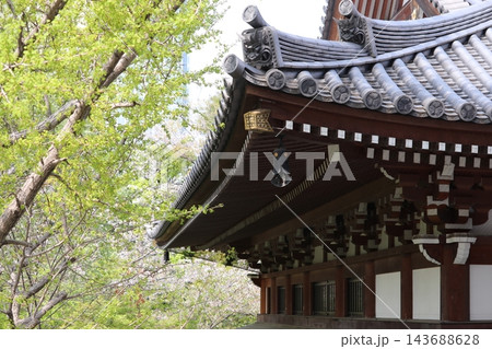 増上寺 143688628