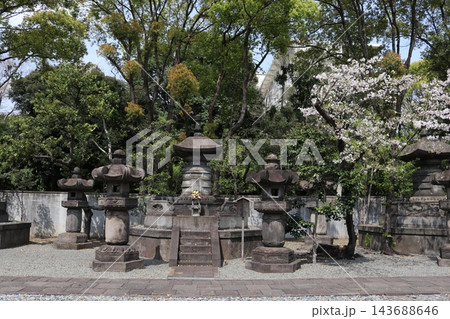 徳川将軍家墓所 143688646