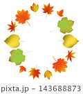 紅葉と楓のフレーム 143688873