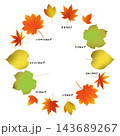 紅葉と楓のフレーム 143689267
