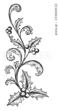 Vintage Christmas Holly Leaves Flourish Woodcut Vintage Christmas Holly Leaves Flourish Woodcut 143689418