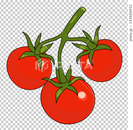 Three red tomatoes on vine branch fresh vegetable food element sticker print visual graphic clipart artwork design icon illustration Three red tomatoes on vine branch fresh vegetable food element sticker print visual graphic clipart artwork design icon illustration 143689452