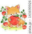 りんごとこぎつねのカラーイラスト 143690926