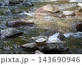 川にある岩の上に置かれた豆腐 143690946