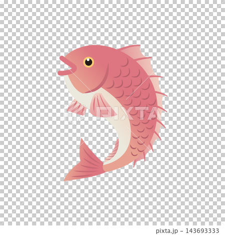 鯛イラスト 143693333