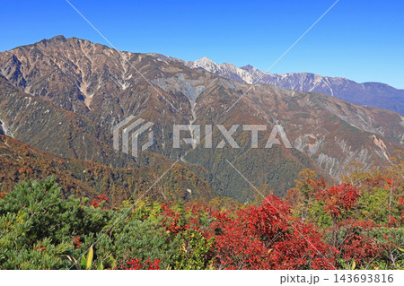 白馬五竜 遠見尾根登山道からの山岳展望 白馬五竜 遠見尾根登山道からの山岳展望 143693816