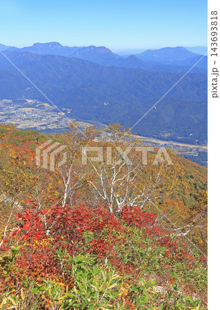 白馬五竜 遠見尾根登山道からの山岳展望 白馬五竜 遠見尾根登山道からの山岳展望 143693818