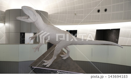 福井県立恐竜博物館 ホール 福井県立恐竜博物館 ホール 143694183