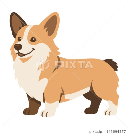 Cute Welsh Corgi Puppy Dog Vector Illustration Cute Welsh Corgi Puppy Dog Vector Illustration 143694377