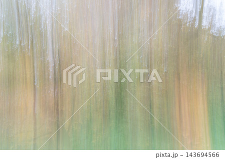 Abstract Vertical Motion Blur Forest With Trees and Soft Pastel Autumn Colors 143694566