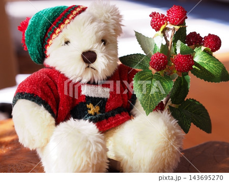 クリスマス衣装を着たクマのぬいぐるみ 143695270