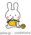 冬に編み物をする白いうさぎ 143695434