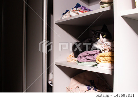 Tuxedo cat nestled among white bath linens in open cabinet. Pure comfort. Domestic life with cat concept. Feline behavior at its most relaxed Tuxedo cat nestled among white bath linens in open cabinet. Pure comfort. Domestic life with cat concept. Feline behavior at its most relaxed 143695811