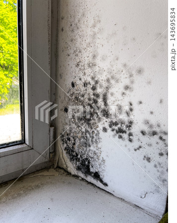 Dampness and fungal mold on windows and wall slopes in poorly maintained apartment. Illustrates bad housing conditions, hygiene issues, and health hazards for residents 143695834