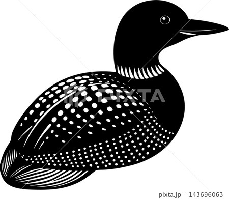 Beautiful Loon Silhouette Vector Illustration design 143696063