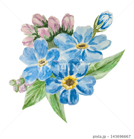Blue forget-me-nots, myosotis, scorpion grass, hand painted with watercolors and isolated on white background. Suitable for postcards, invitations, wedding, prints and packaging 143696667