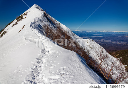 八ヶ岳連峰・権現岳・ギボウシのピークと北アルプスの山並み 143696679